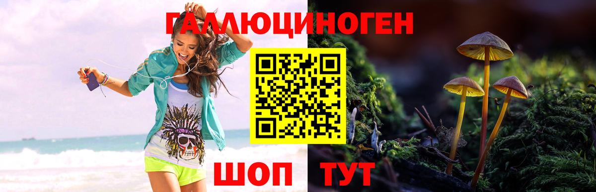 Галлюциногенные грибы Psilocybine cubensis  Вход с VPN  как найти наркотики  Псилоцибиновые грибы Magic Shrooms  Саранск 
